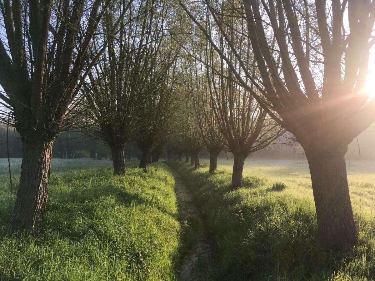 Het Zwaantje Villa Лондерзел Екстериор снимка